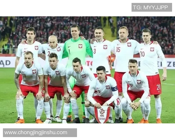 波兰国家队现役足球球员名单及其在国际赛场上的表现分析